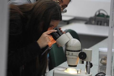 Licenciaturas da Unesc conquistam resultados de excelência no Enade 2025