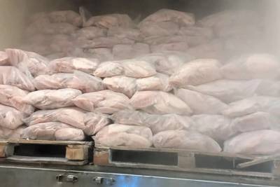 PRF localiza camarão argentino contrabandeado escondido em carga de peixe na BR-101