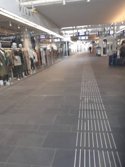 Brasileira fala sobre quarentena na Holanda 