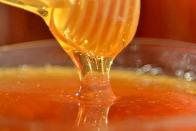 Santa Catarina é o terceiro maior exportador de mel do Brasil e se destaca na produção nacional