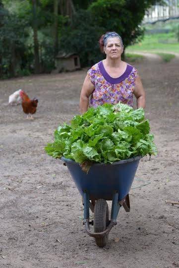 Clube chega como opção de alimentos sem agrotóxico