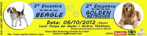 3 º Encontro de Cães Beagles e 2º Encontro da Raça Golden