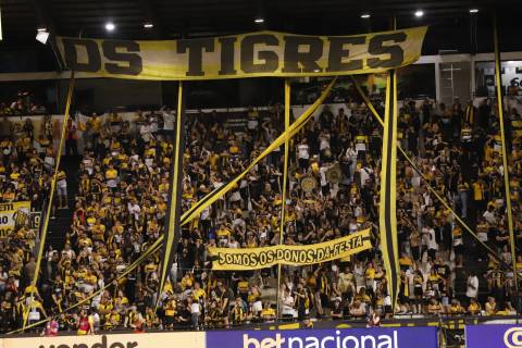 Quase metade dos ingressos promocionais para jogo contra o Vila Nova foram retirados