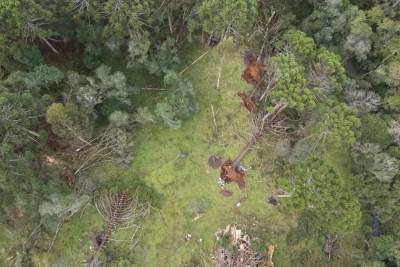 Defesa Civil descarta a possibilidade de tornado no município de São Joaquim