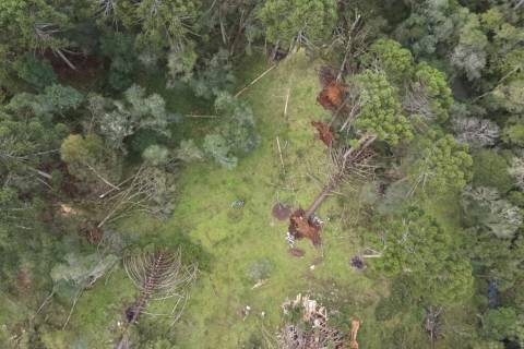 Defesa Civil descarta a possibilidade de tornado no município de São Joaquim