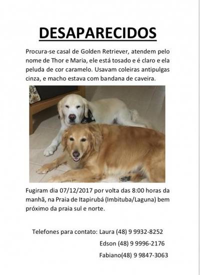 Procura-se Maria E Thor