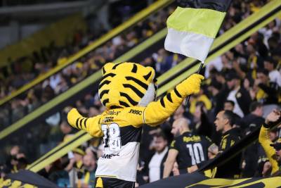 Tigre: adesões para novos sócios Carvoeiro Ouro continuam em aberto