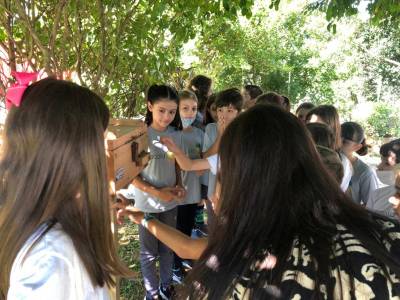 Criciúma: Alunos da Escola S conhecem projeto pioneiro de abelhas sem ferrão