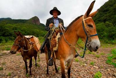 Turismo rural integra comunidade com a natureza no Sul catarinense