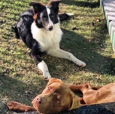 Procura-se Bud E Thor