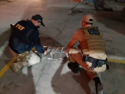 Cão farejador localiza 20 quilos de cocaína em pneus de uma carreta na BR-470