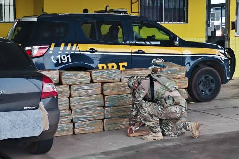 PRF flagra jovem transportando mais de 400 quilos de maconha na BR-282