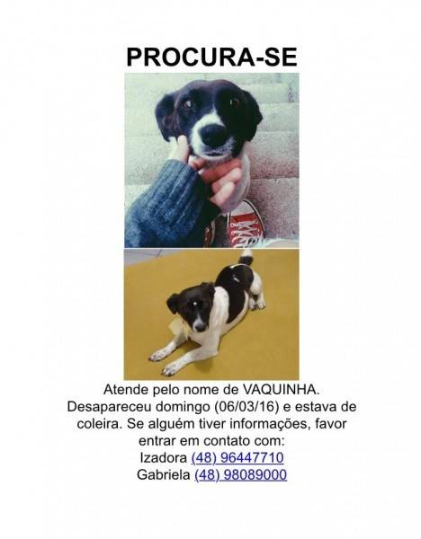 Procura-se Vaquinha