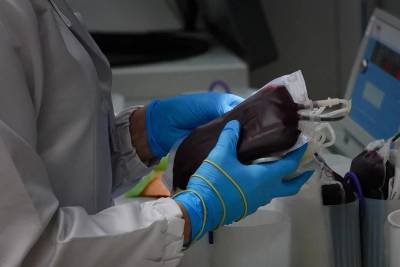 'Jogue junto e dê seu sangue para nosso time': campanha do Hemosc aumenta doações em 25% em Criciúma