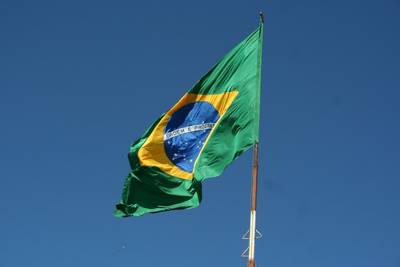 Porque o reflorestamento tropical que está ocorrendo no Brasil é bom para os negócios