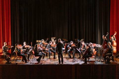 Concerto da Camerata di Venezia chega em Laguna