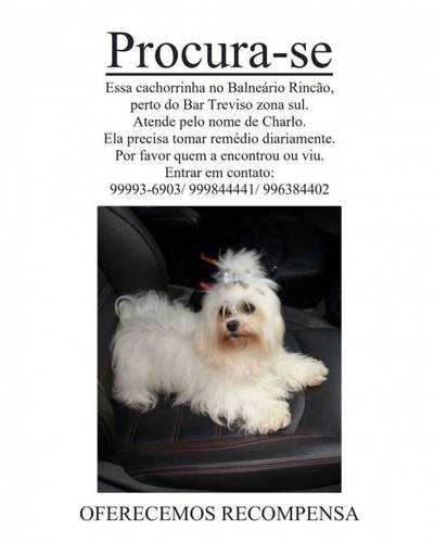 Procura-se Charlo
