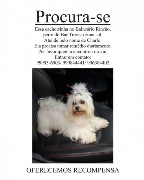 Procura-se Charlo