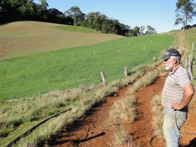 Secretaria de Agricultura distribui 25 toneladas de aveia e azevém para agricultores