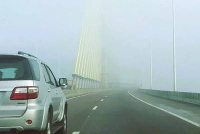Neblina: saiba como evitar acidentes e dirigir com segurança