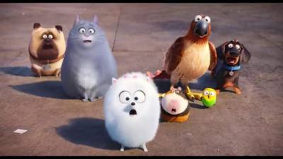 VÍDEO: Pets - A Vida Secreta dos Bichos estreia no cinema