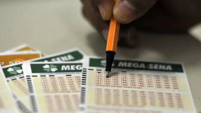 Mega-Sena: apostas do Sul de Santa Catarina acertam a quadra
