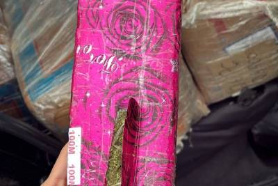 Maconha e skunk são apreendidos pela PRF na BR-101 em Joinville