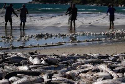 Pelo Estado 10/06: Pesca da tainha fala mais sobre política do que sobre economia