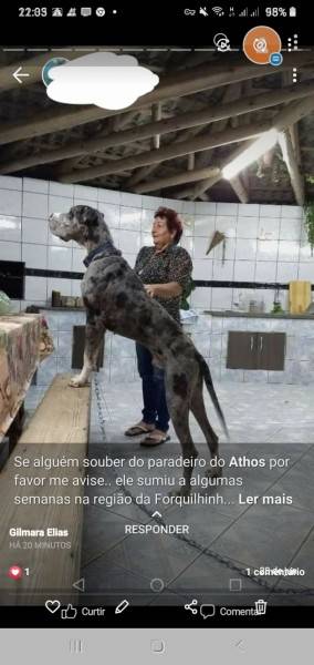 Procura-se Atos