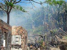 Incêndio destrói 200 metros quadrados de vegetação