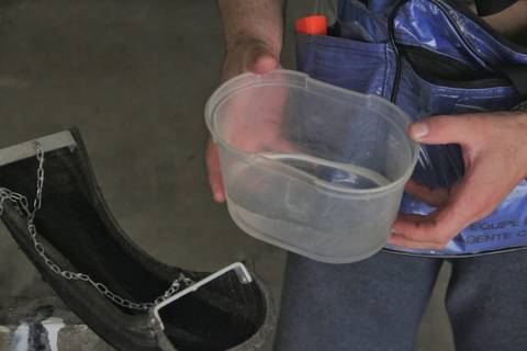 Focos do mosquito da dengue são encontrados em Nova Veneza