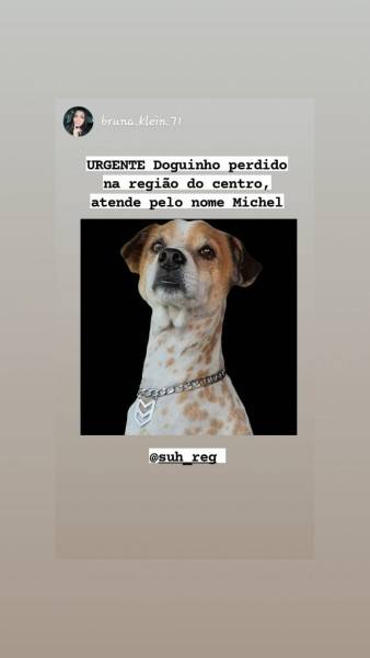 Procura-se Michel