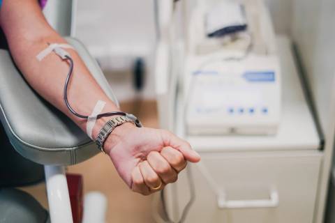 Hemosc celebra o Dia Nacional do Doador de Sangue com ações especiais ao longo da semana