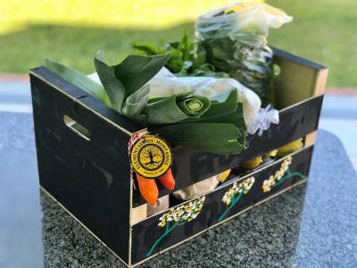 Elementais da Montanha: produtos da horta entregues em casa