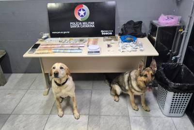Dupla é detida e grande quantidade de drogas é apreendida em Criciúma