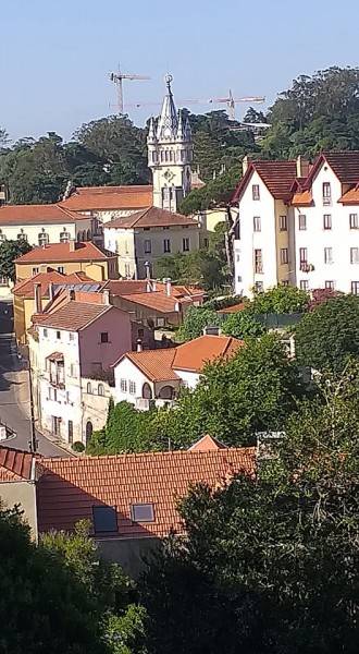 Saiba como está a reabertura no mundo