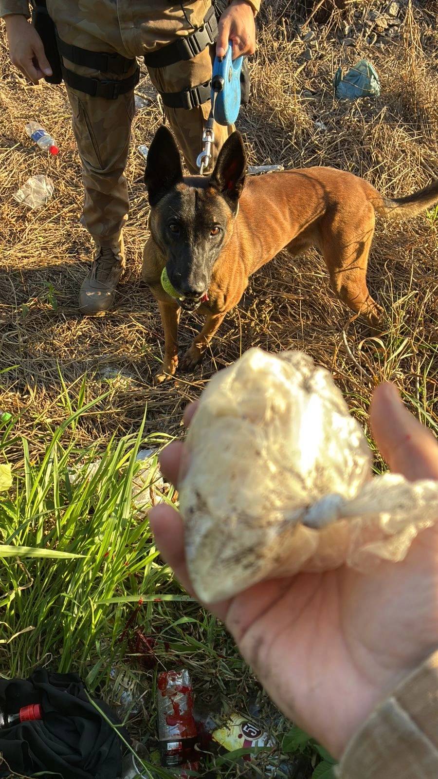 Apneia II: nova fase de operação inicia com prisão e apreensão de droga em Criciúma — foto 2