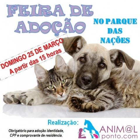 Feira De Adoção De Animais