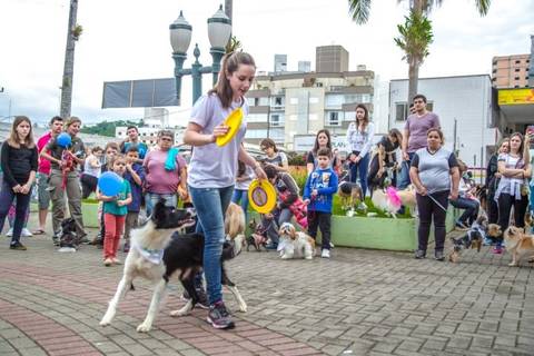 Escola para cães: treinamento gratuito é atração da 2ª Cãominhada
