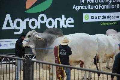 Feira AgroPonte tem expectativa de atrair 100 mil visitantes durante edição de 2026