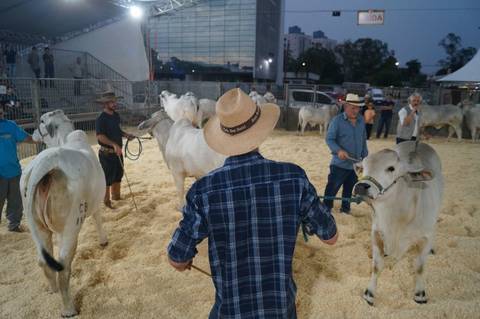Com expectativa de receber 80 mil visitantes, AgroPonte inicia nesta quarta-feira em Criciúma