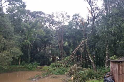Defesa Civil avalia possível tornado após tempestades severas em regiões de SC