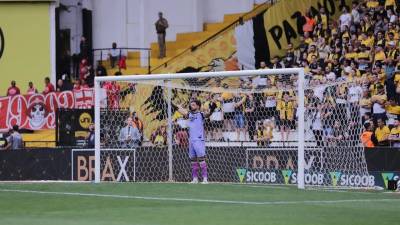 ‘O Alisson é o meu titular’, afirma Eduardo Baptista