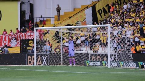 ‘O Alisson é o meu titular’, afirma Eduardo Baptista