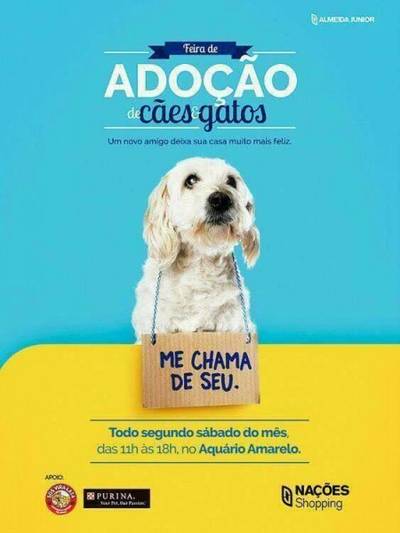 Sábado é dia de Feira de Adoção