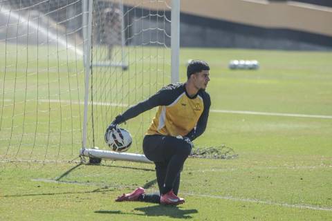Tigre inicia preparação para enfrentar o Fortaleza