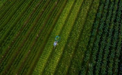 Santa Catarina alcança o maior valor de produção agropecuária da história
