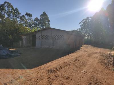 Vacas são encontradas mortas com ferimentos de faca