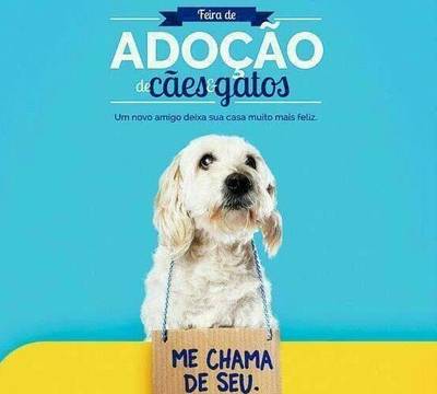 Nações Shopping recebe Feira de Adoção de cães e gatos