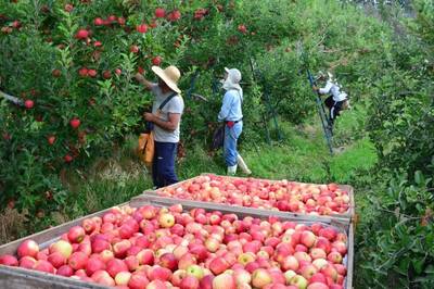 Audiência discute cobrança do ICMS sobre defensivos agrícolas